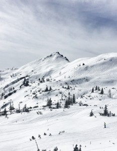 Flachau | Ski amadè