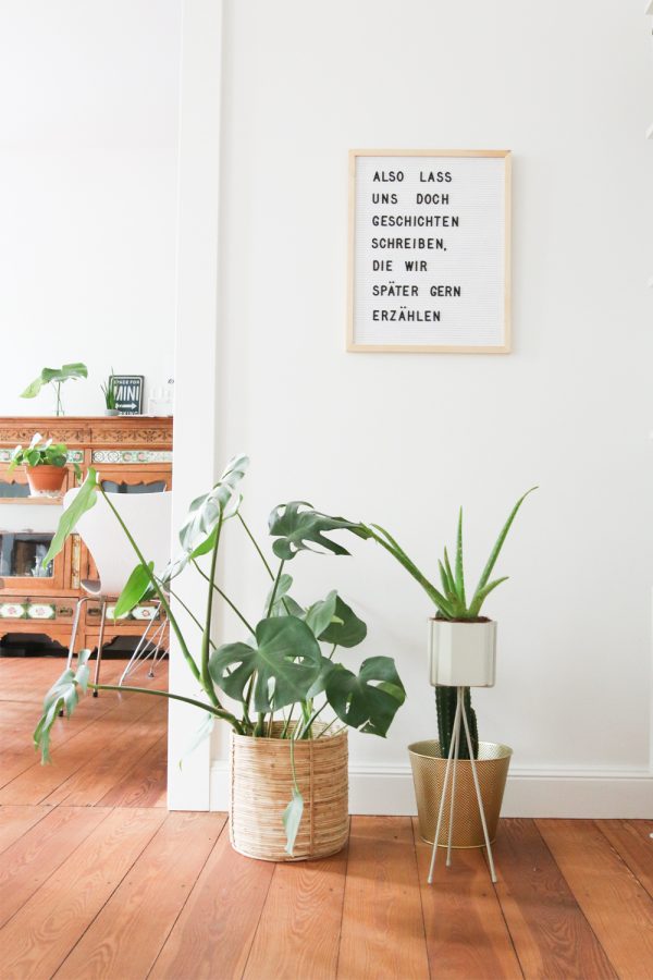 Letterboard und Urban Jungle